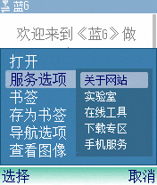 选择[选项]的服务，就可以看到二级菜单