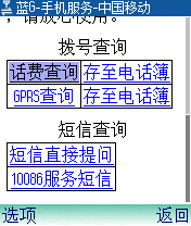 手机服务的最终页面