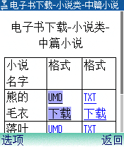 下载专区-电子书-小说类的下载页面