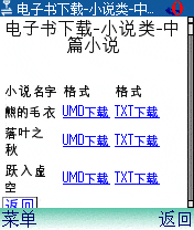 下载专区-电子书-小说类的下载页面